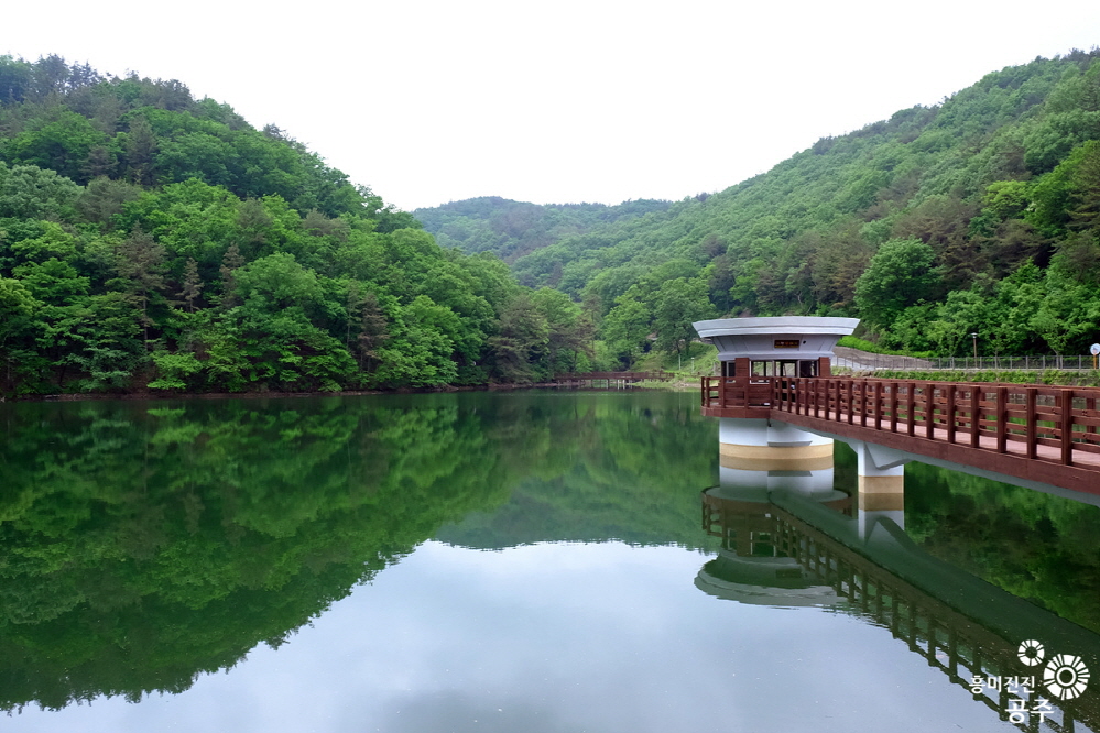 금학생태공원 사진